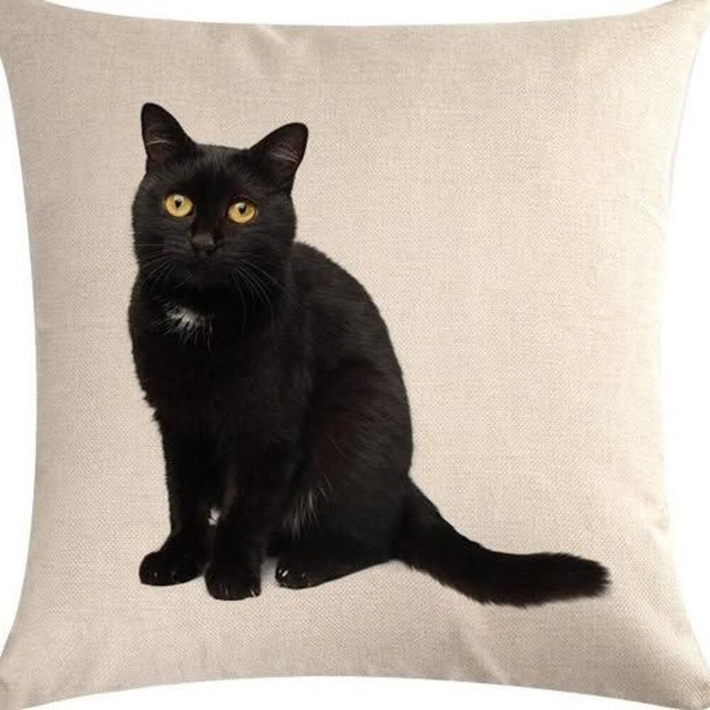 Black Cat pillow cover